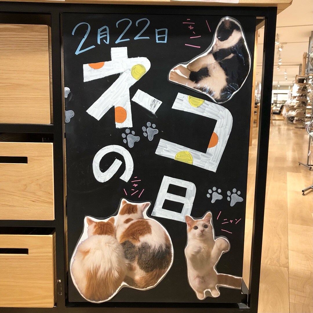 【富山マルート】２月２２日、猫の日です。