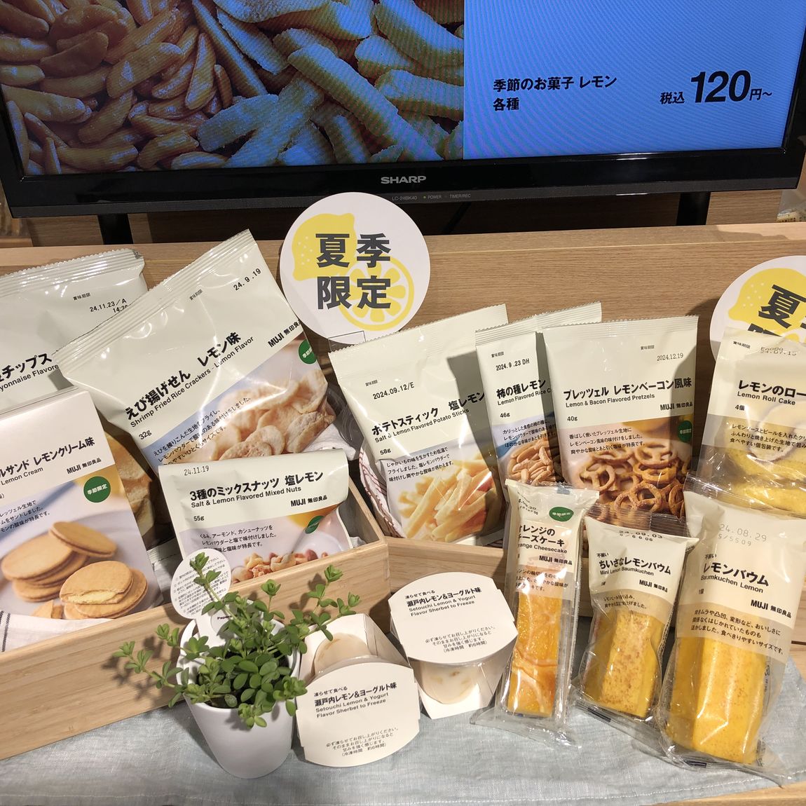 【富山マルート】レモンの季節がやってきました。