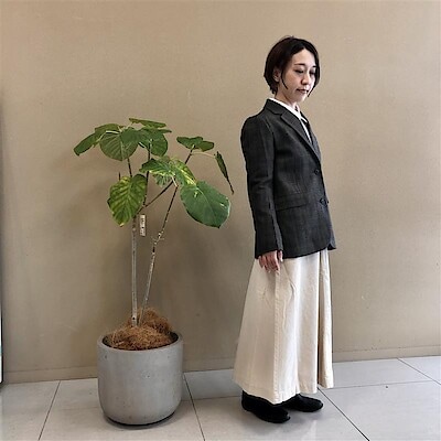 【ヨークベニマル東根】身長153cm