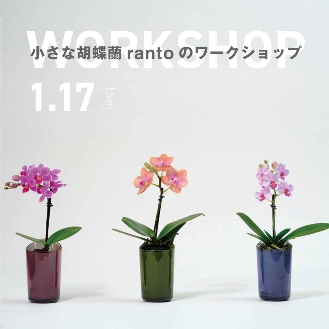 【マルエイガレリア】ワークショップ開催のお知らせ｜1月17日(土)