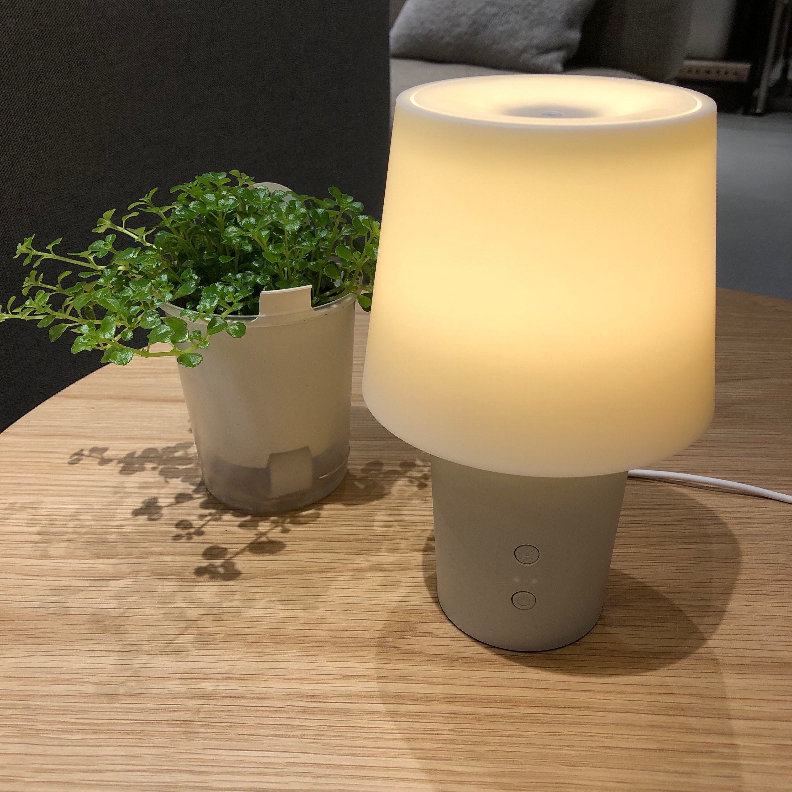 新潟河渡新町】新発売の水を使わないアロマディフューザー｜ 無印良品