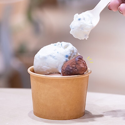 【アルパーク】カカオトリュフを1粒プレゼント｜キャンペーンのおしらせ