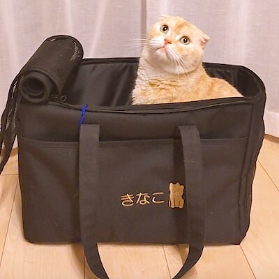 【アルパーク】新商品のペット用洗えるキャリーバッグが入荷しました！