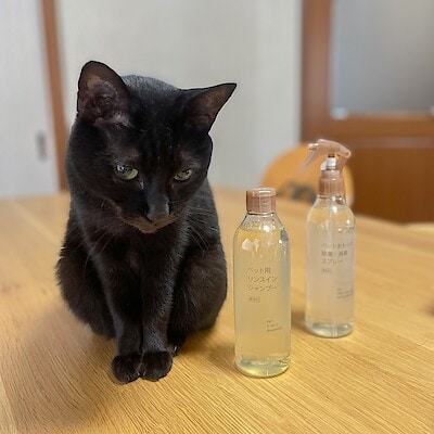 【アルパーク】新たにペット用商品が多数入荷しました！