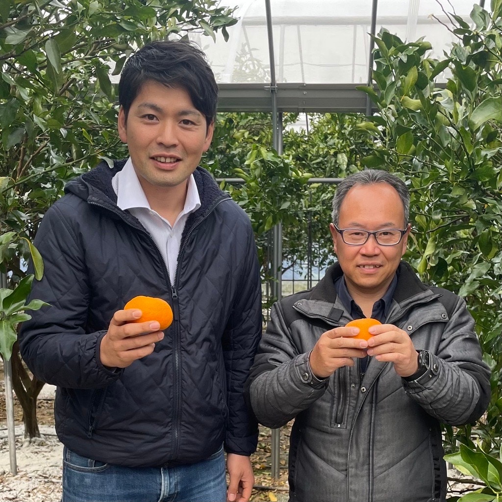 アルパーク】4月つながる旬｜ひらばら農園さん×ottoさんの柑橘・せとみ