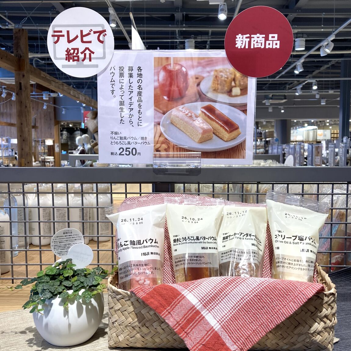 みんなでつくるバウム