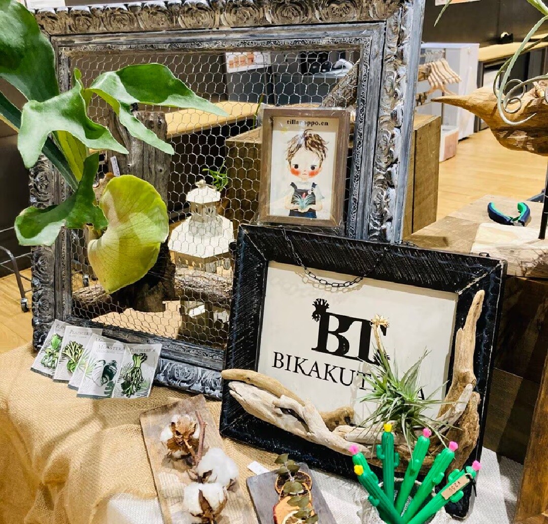 ビカクチラ