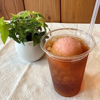 【NPひたちなか】この夏イチオシ！すももフロート🍑