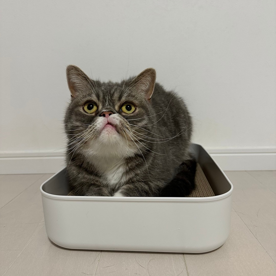 サムネ