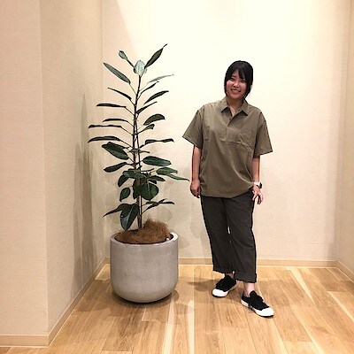 【イオン金沢八景】身長154cm