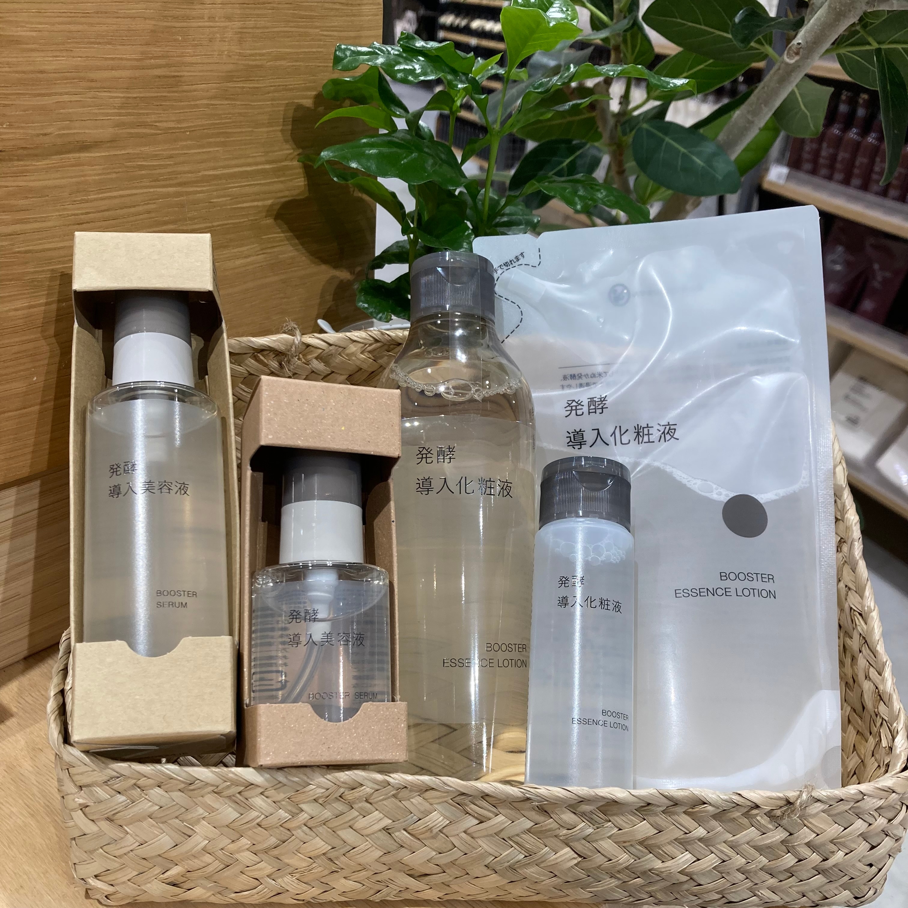 発酵導入