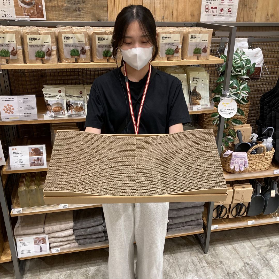 ダンボール爪とぎの写真