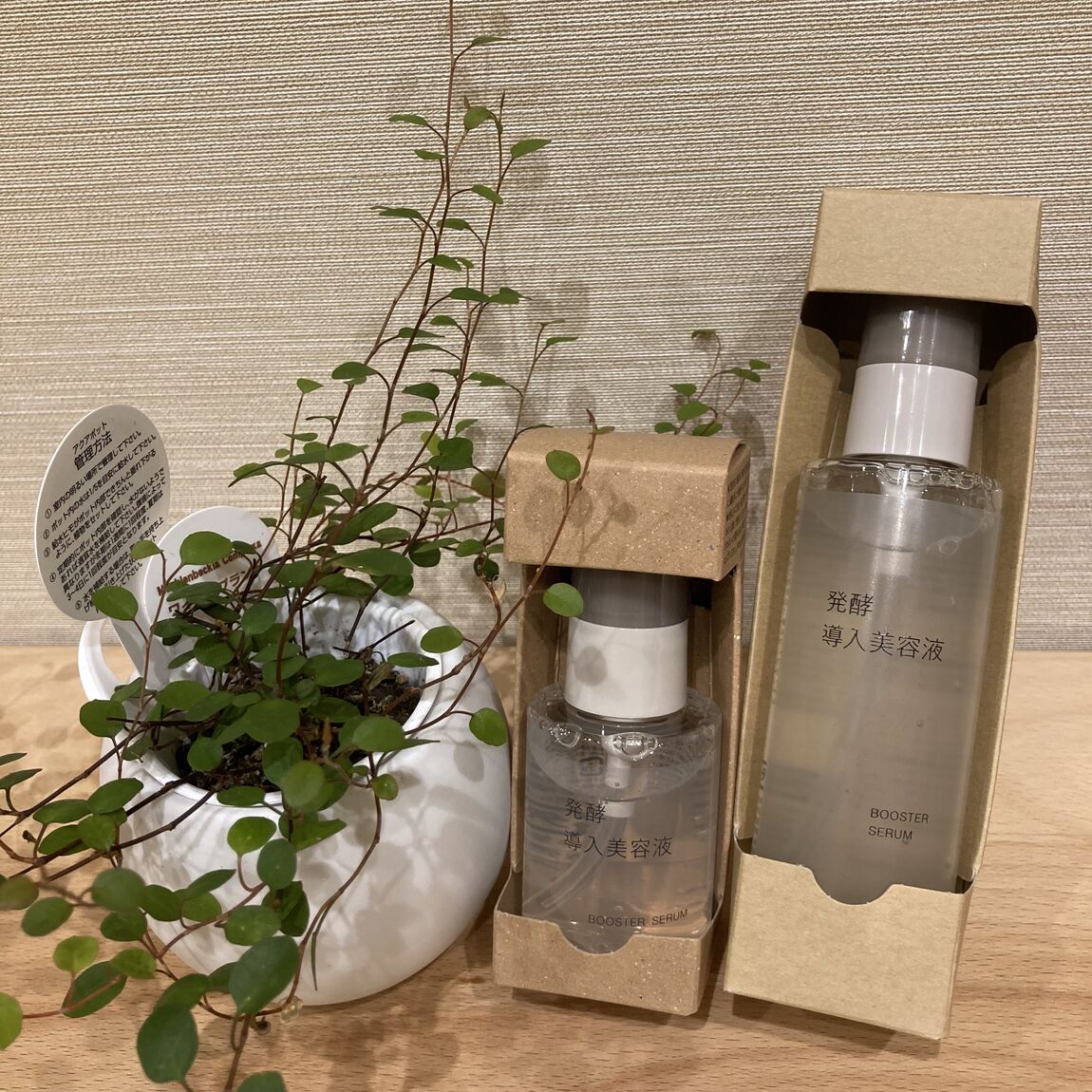 発酵導入①