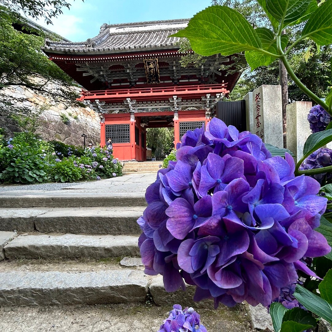 【カスミ岩瀬】茨城県の風景～桜川市～