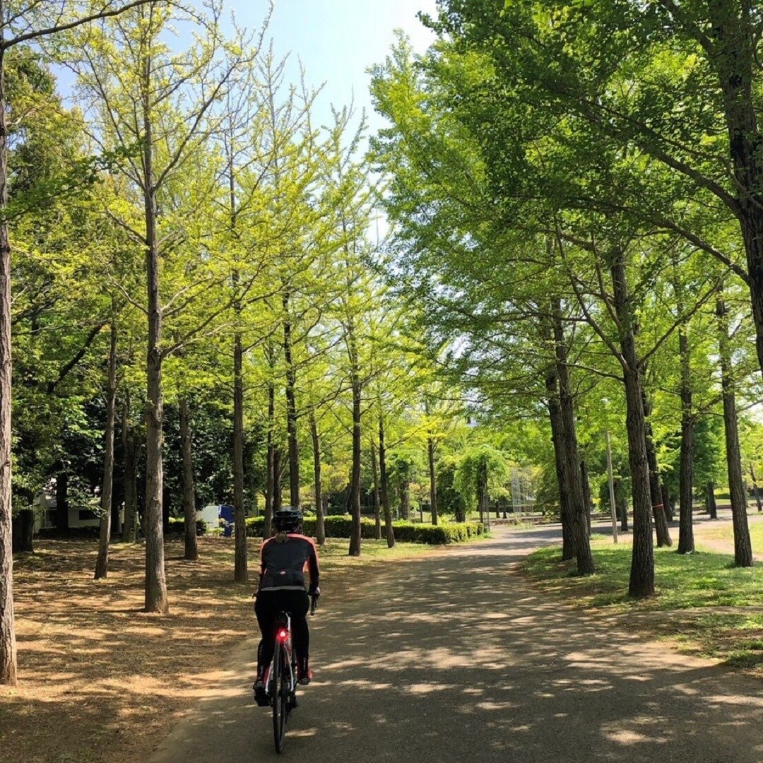 【カスミ岩瀬】自転車で巡る「いばらきロード」