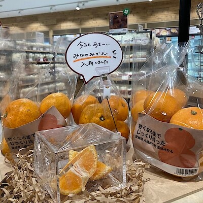 【サミット高井戸東】愛媛県産　温州みかん今年も入荷しました！