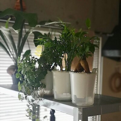 【ヨシヅヤ笠松】スタッフSの買って良かったもの①