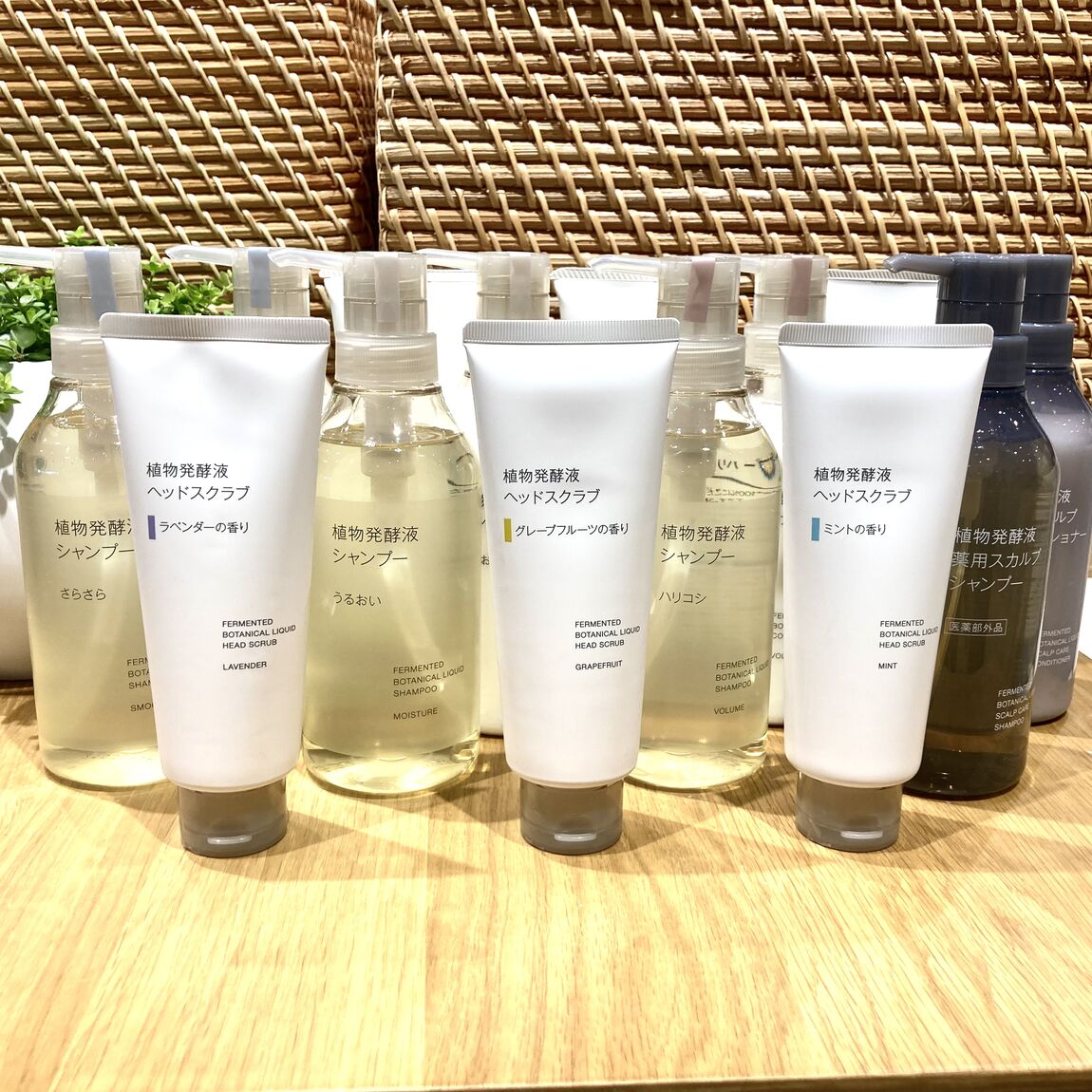 植物発酵液ヘアケア