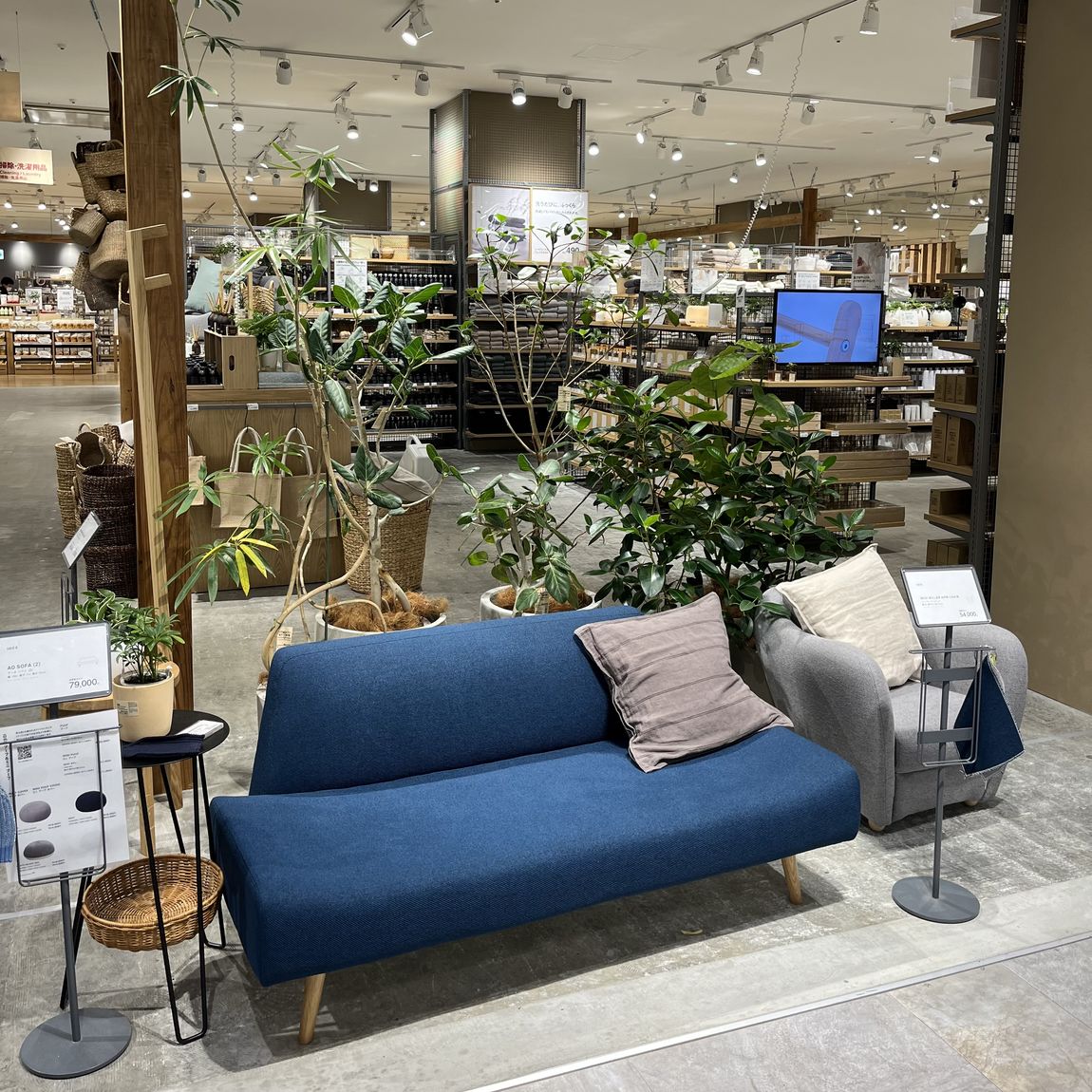 【ビバシティ彦根】研修準備。草津店舗の紹介