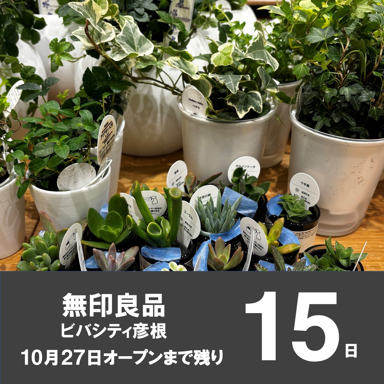 【ビバシティ彦根】OPENまで残り15日