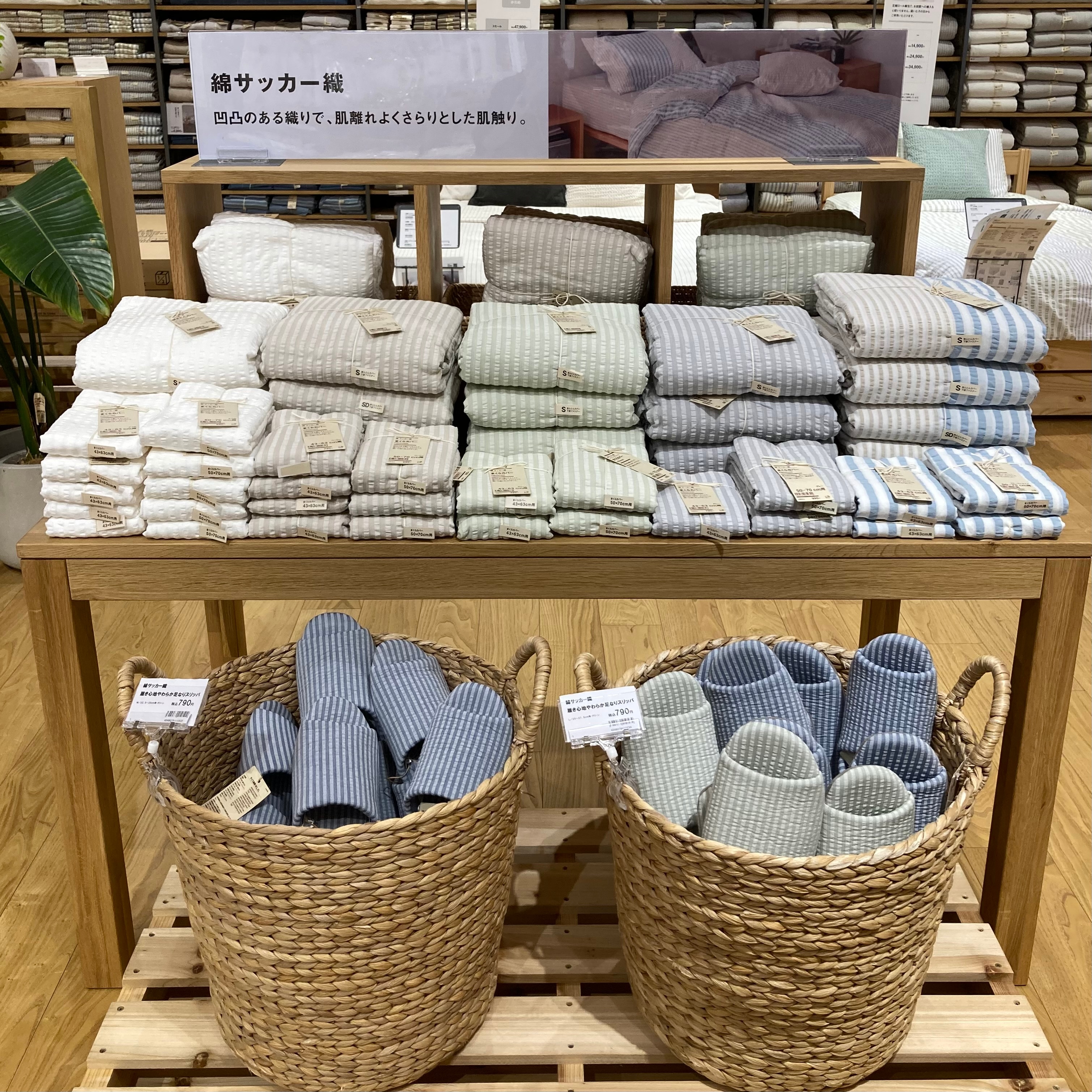 スタッフのおすすめ