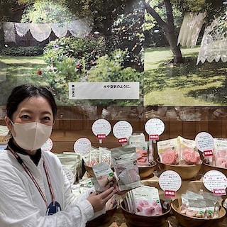 【前橋中央通り商店街】大好評！新商品桜シリーズ