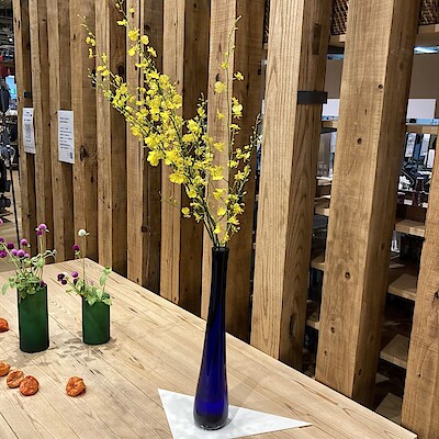 【SCオークワ南紀】 　展示中のお花をご紹介します。