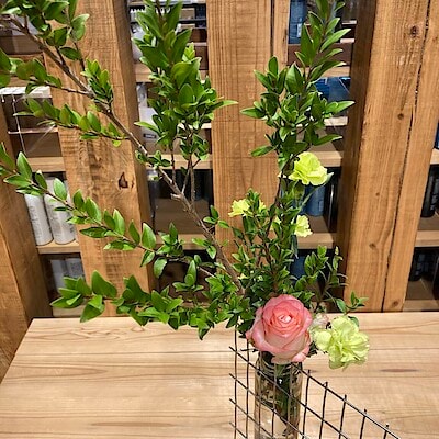 当店のOPENMUJIスペースに展示中のお花をご紹介いたします。