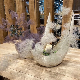 【SCオークワ南紀】　店頭のお花をご紹介します。