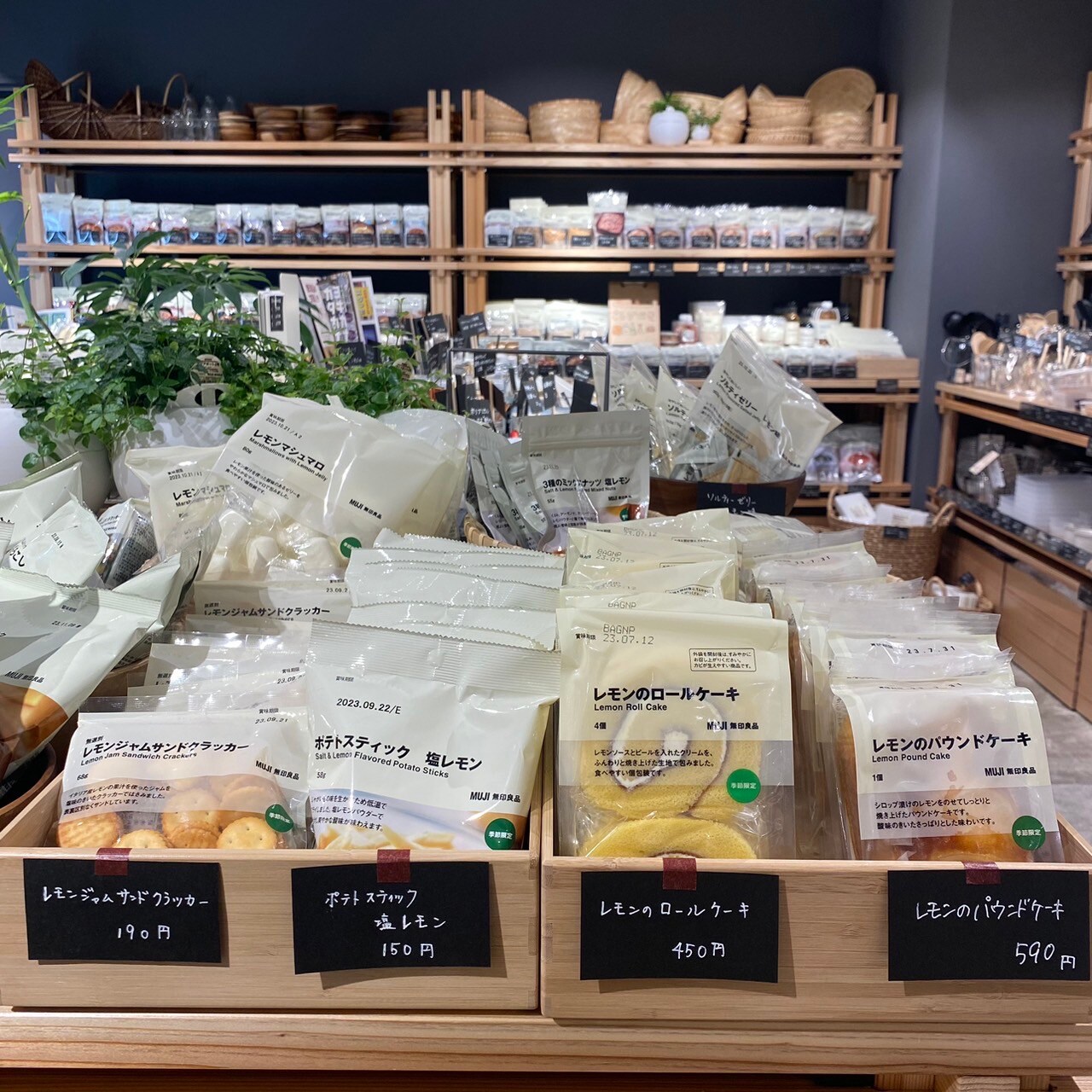 【岡山表町商店街】爽やかなレモンのお菓子