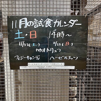 【いとく大館ショッピングセンター】11月22、23日の試食についてのご案内