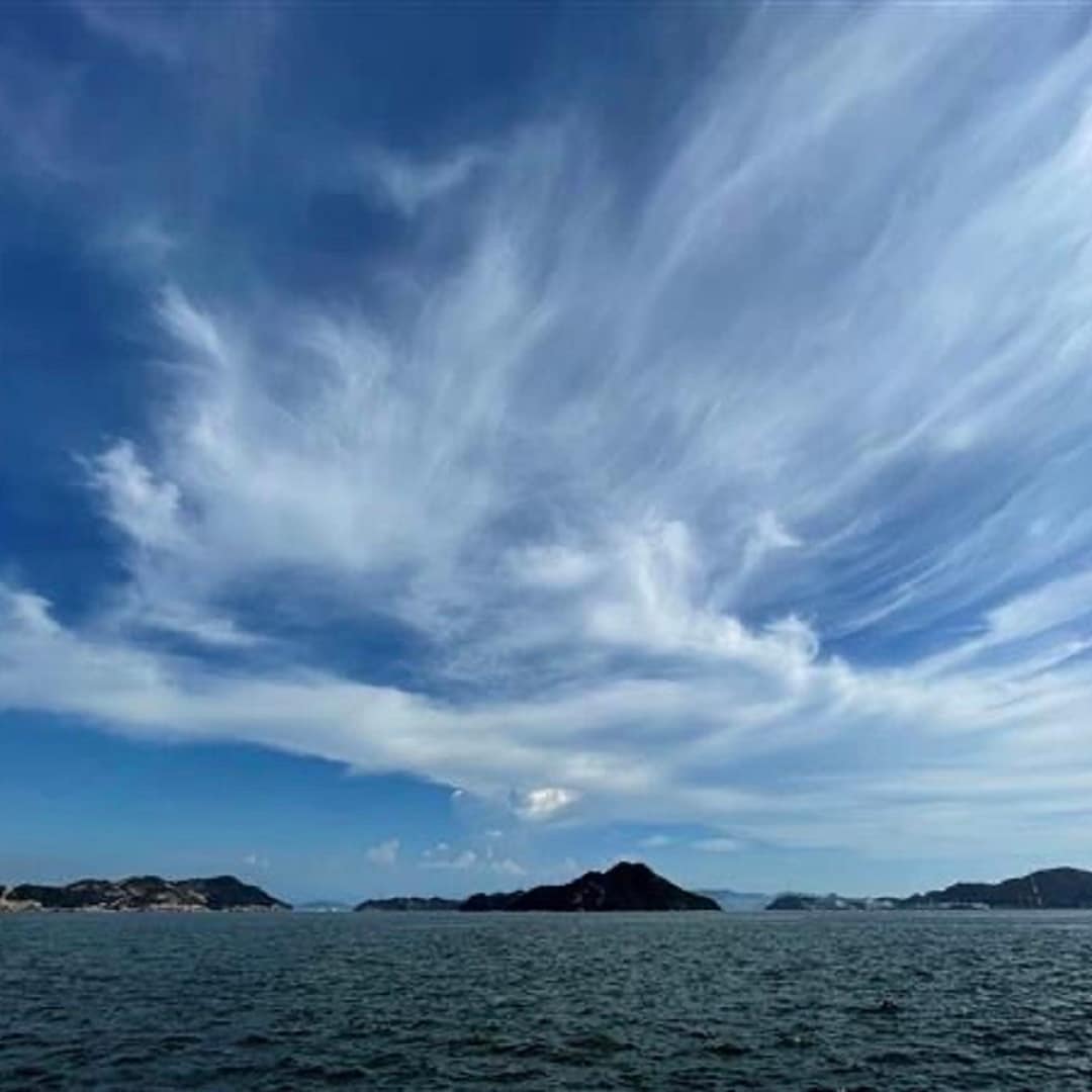 お店の近くから見える海の写真