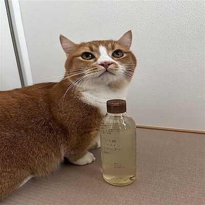 【新大村駅前】大切な家族のために。やさしさで出来たペット用リンスインシャンプーのご紹介です。