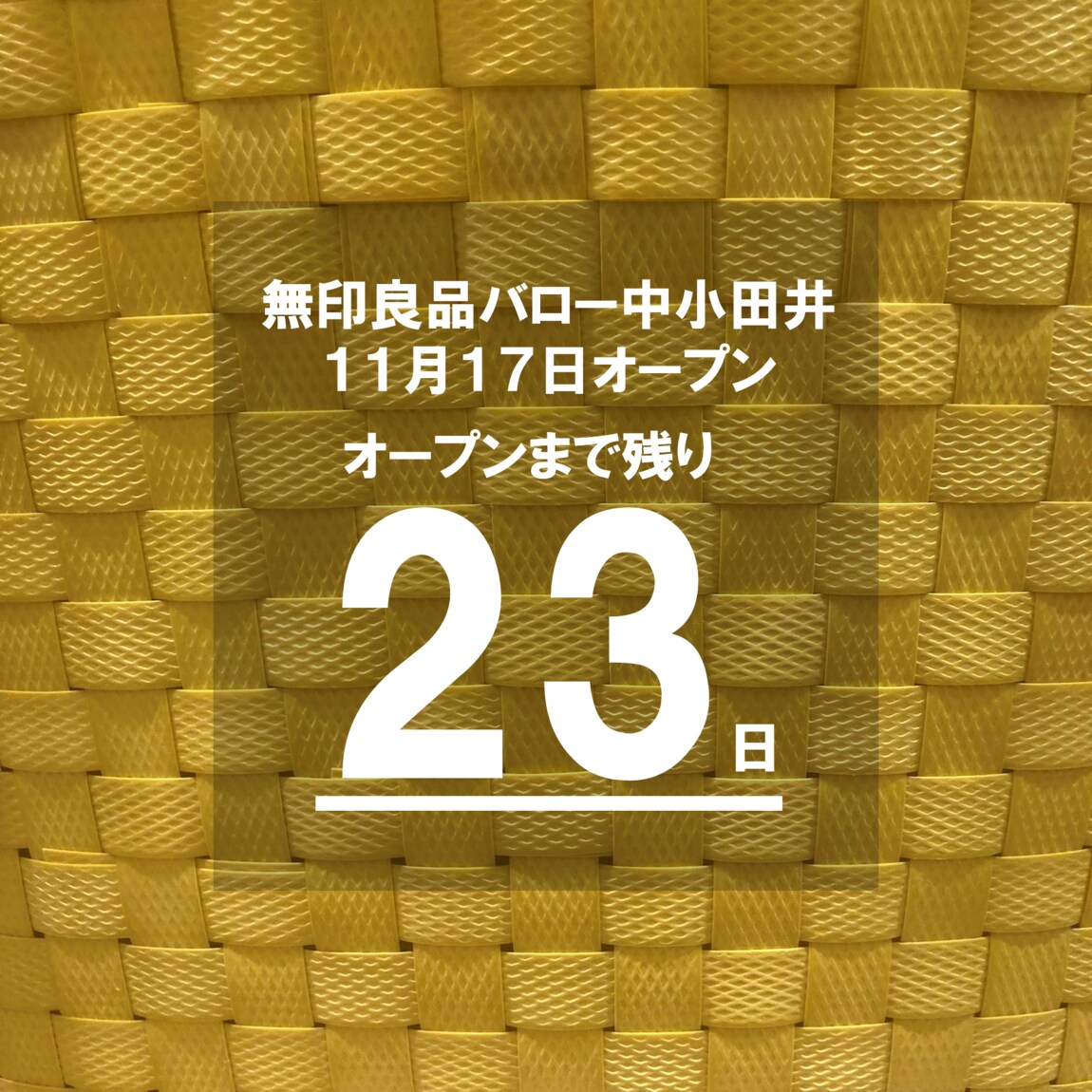 23