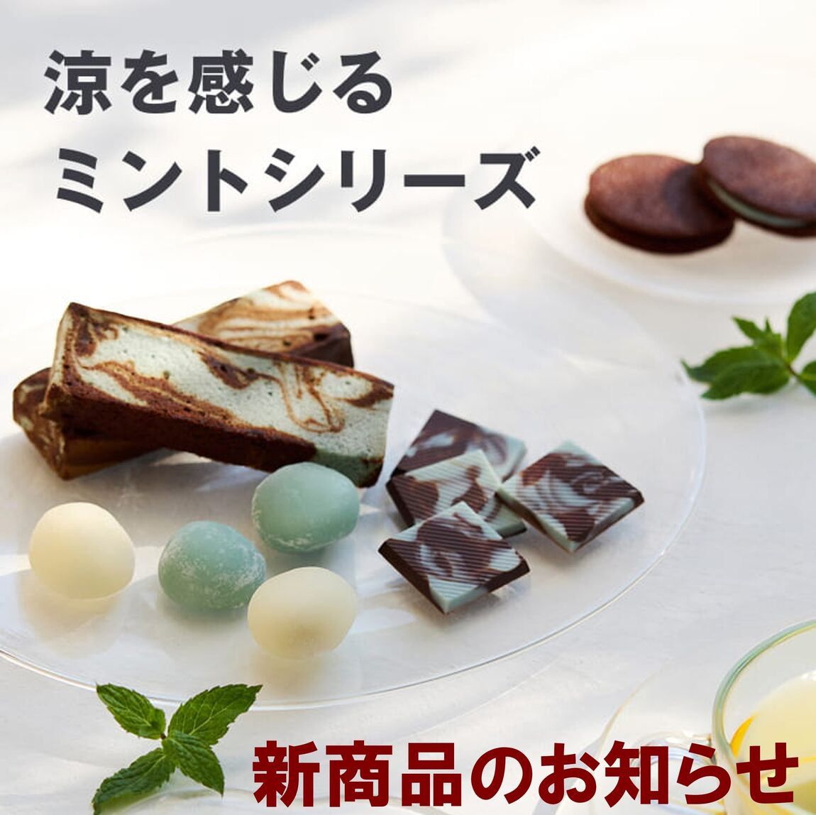 046831_20260415_00_00