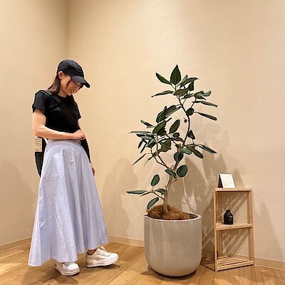 【アイ・モール三好】身長１５６ｃｍ