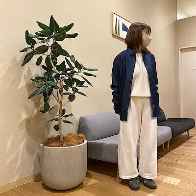 【アイ・モール三好】　身長150㎝