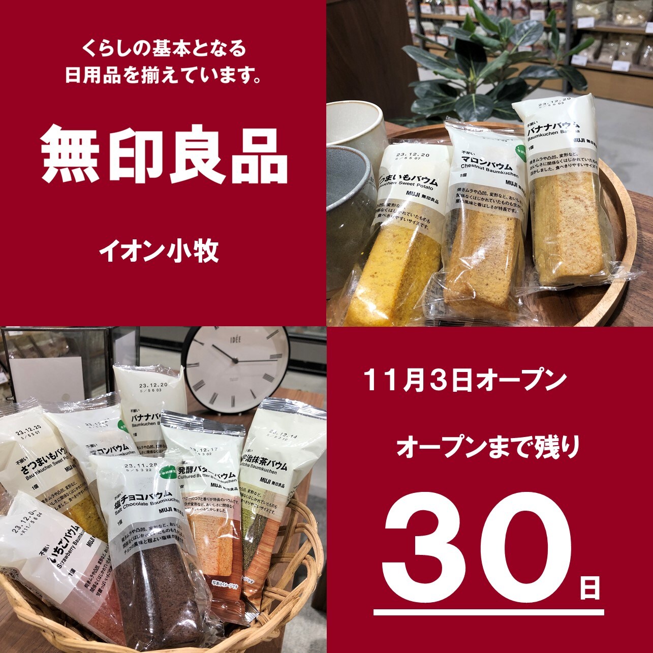 バウム表紙