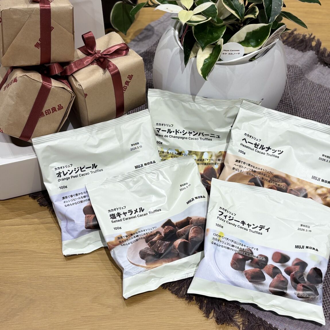 スタッフオススメ