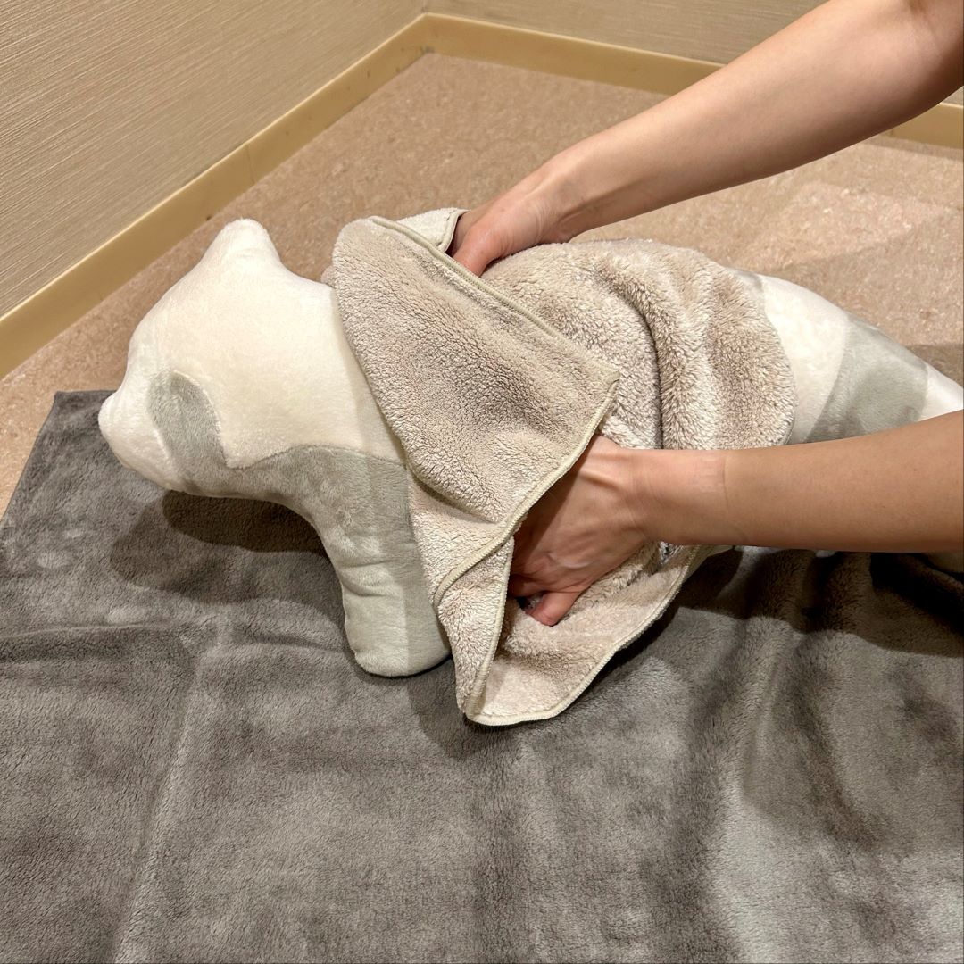 [ブルメール舞多聞]ペット用タオルのご紹介