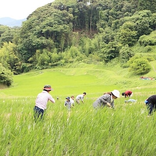 【ユアエルム八千代台】６月の里山を楽しむ体験！棚田のお手入れ＆食器づくり体験のお誘い