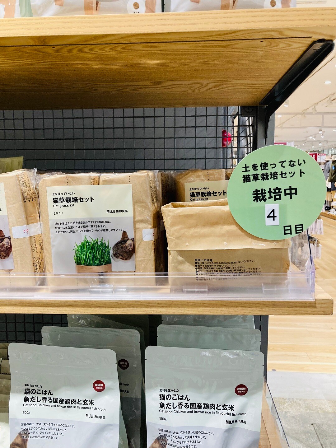 猫草