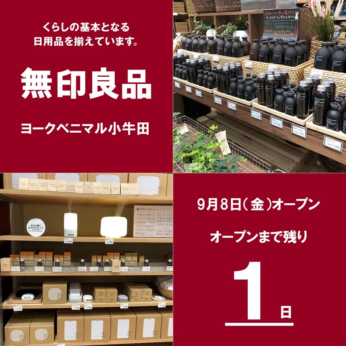 フレグランスとアロマ