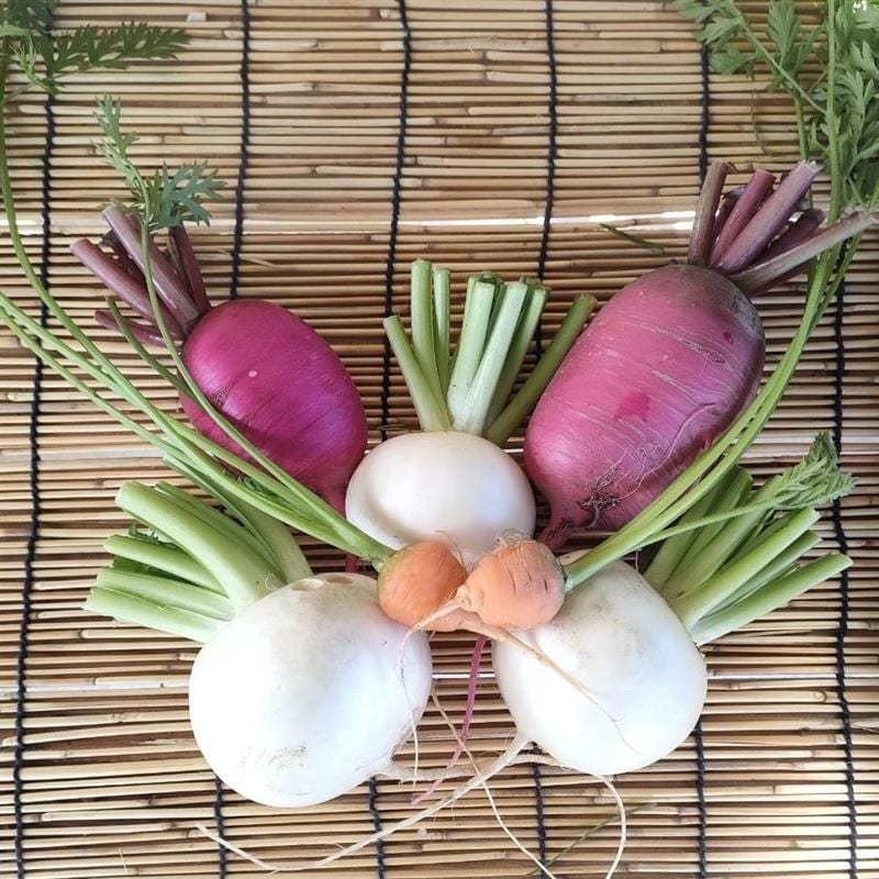 046870-20251206-99-01