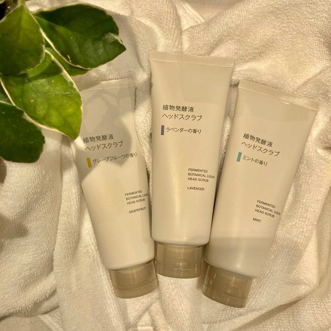 キービジュアル