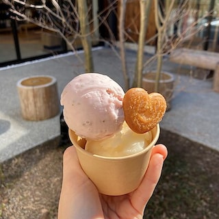 【唐津】春のプレゼントキャンペーン