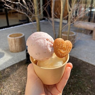 【唐津】キャンペーンお知らせ