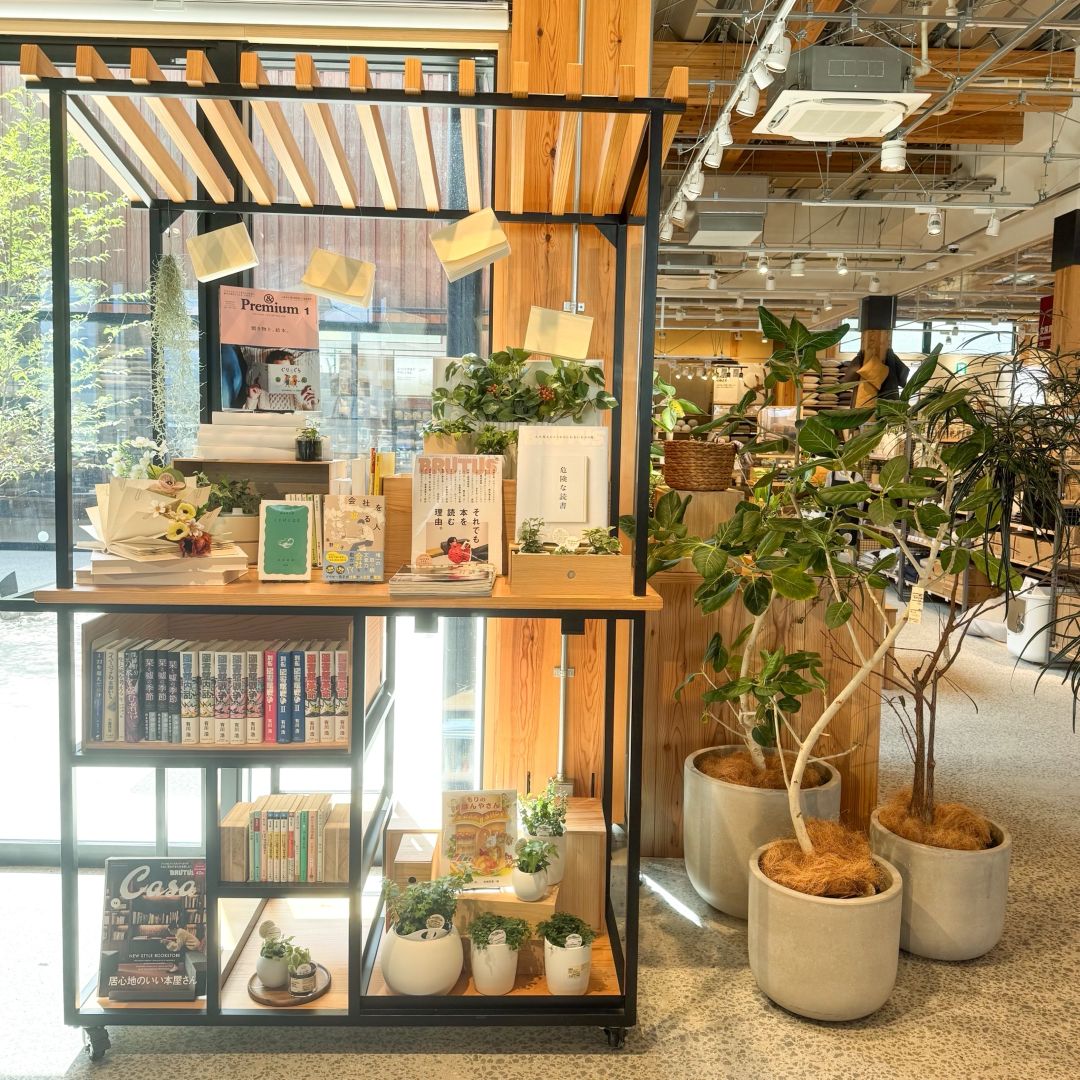 ブックス特集屋台