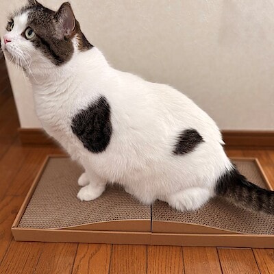 【ハピオ木野】新商品｜大切な家族と快適な暮らしを