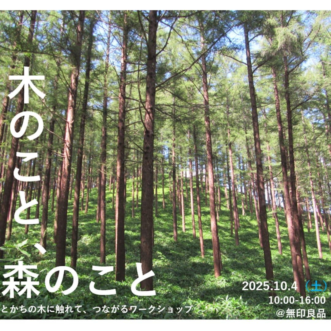 木のこと森のことビジュアル